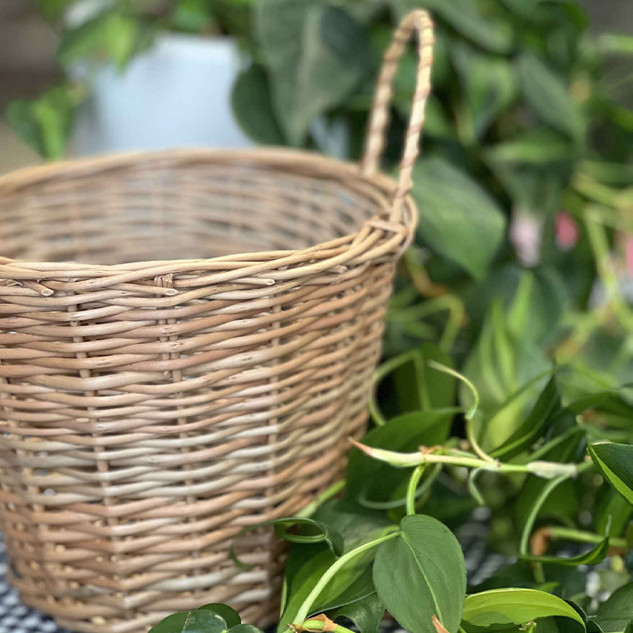 Korb aus Weiden- und Bambusgeflecht, handgewebt Modell Circle, Set aus 3