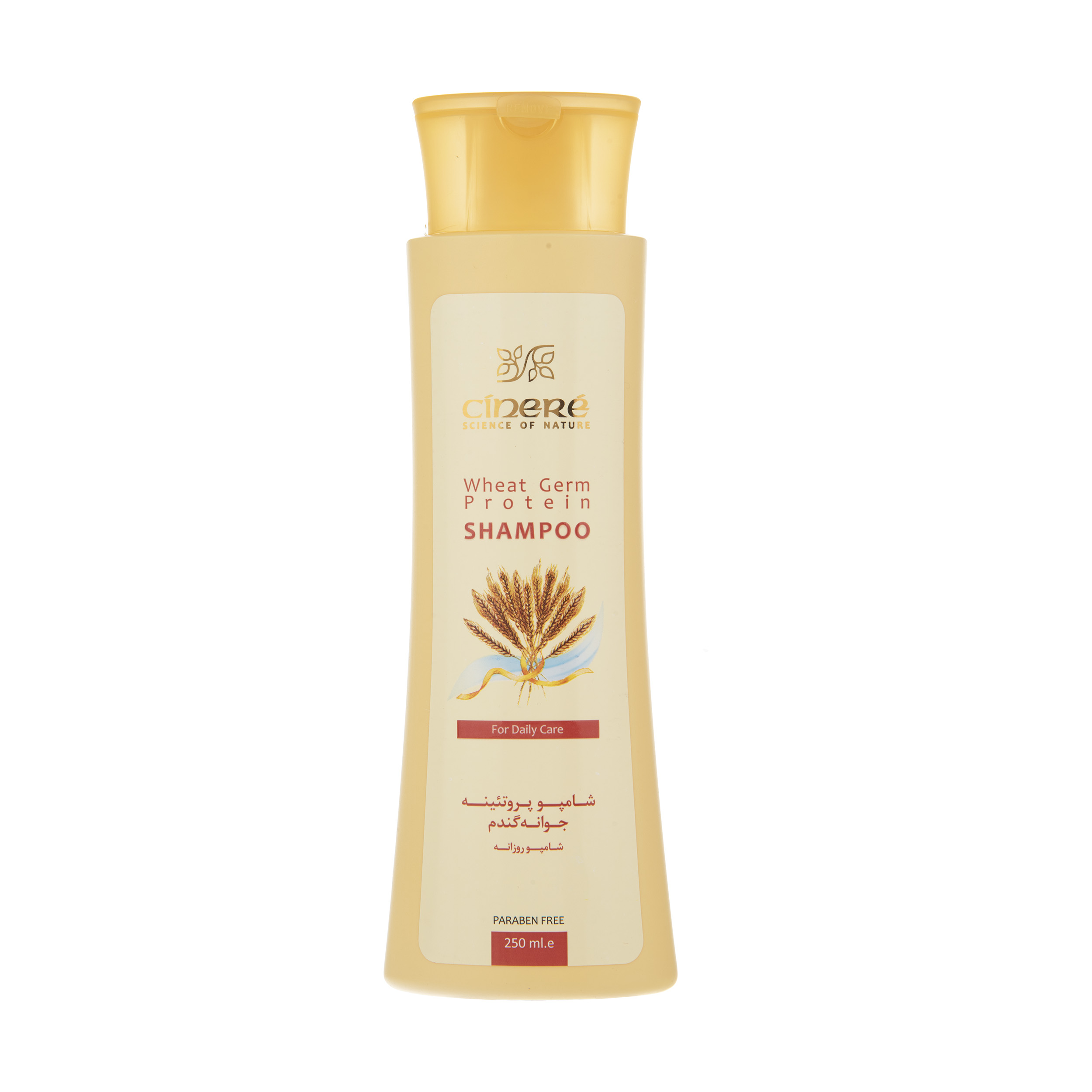 Cinere Weizenkeim Shampoo für alle Haartypen – Tägliche Feuchtigkeit & Widerstandskraft (x4)