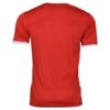 Persepolis FC Fan-Trikot - Löwin