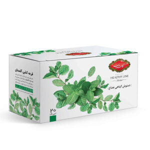 Golestan Minze Kräutertee-Mischung Packung mit 20 (5 Packungen)