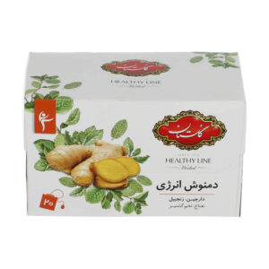 Golestan Gemischte Energieinfusion Kräutertee-Mischung Packung mit 20 (5 Packungen)
