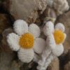 Besticktes Blumen-Snap-Haarspangen-Set aus 2 Handgewebt Modell Kamille