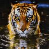 Handgeknüpfter persischer Bildteppich aus Tabriz, der einen Tiger darstellt