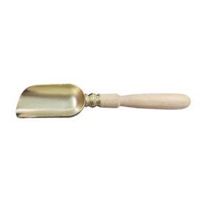 Nussservierlöffel mit Holzgriff