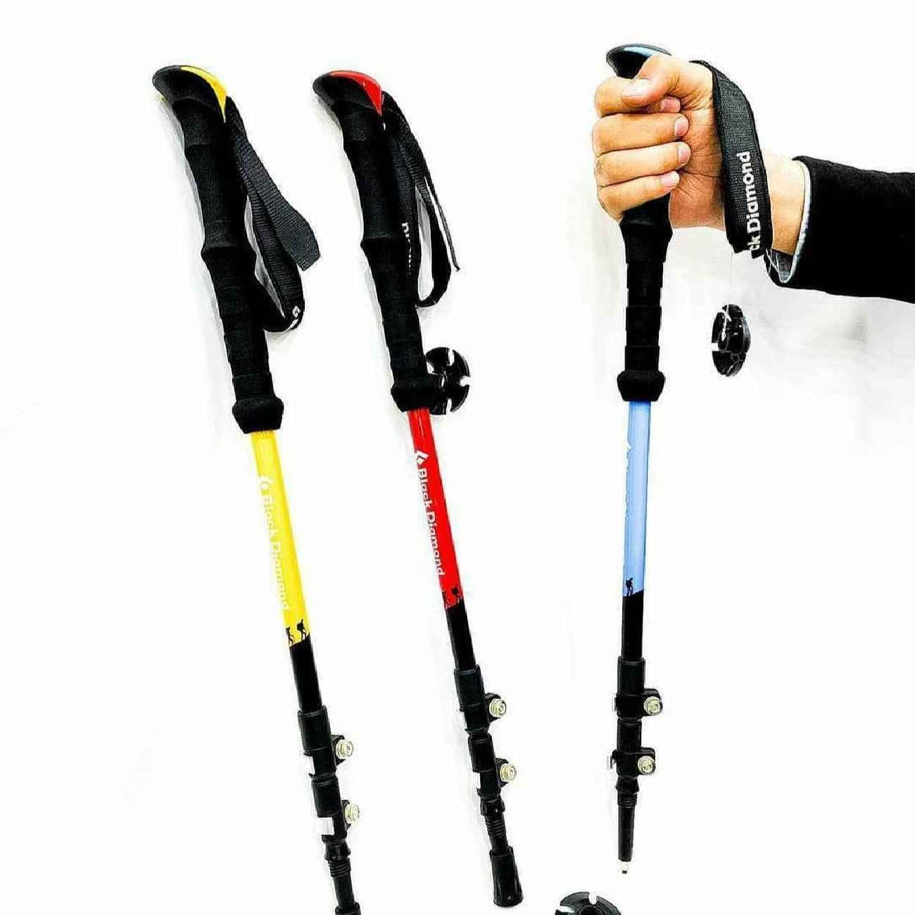 Wanderstock – Wesentliche Eigenschaften für Outdoor-Enthusiasten, 2er-Pack