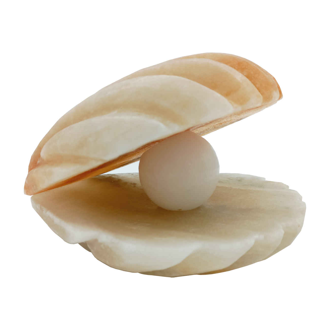 Persische Salzsteinlampe – Stresslinderndes Geschenk mit Muscheldesign
