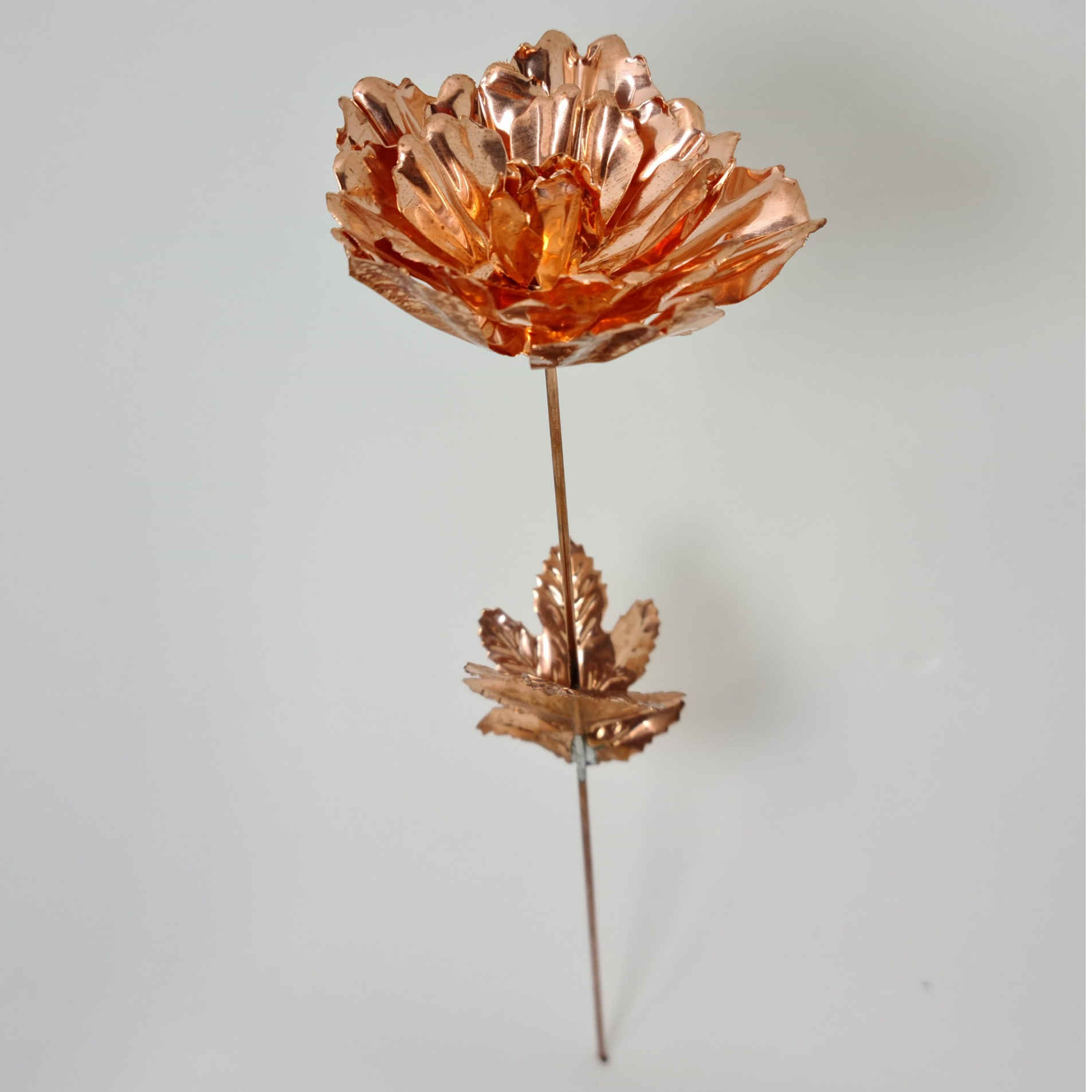 Dekorative Kupferblume – Symbolik, Schönheit & Kulturelle Florale Kunst für Zuhause (x3)