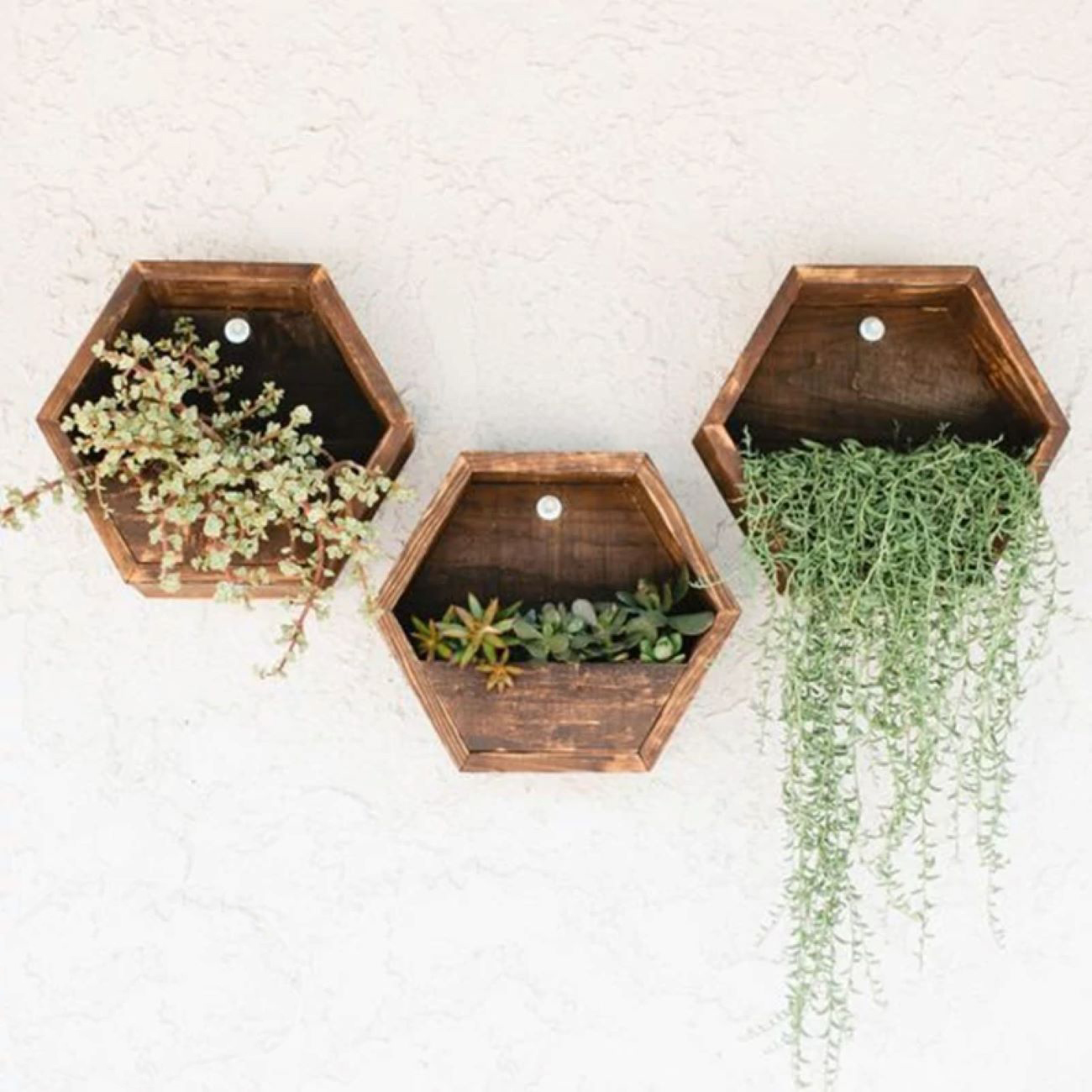 Wandpflanzgefäß im Hexagon-Design – Kaktus, aus Holzmaterial (1 Stück)