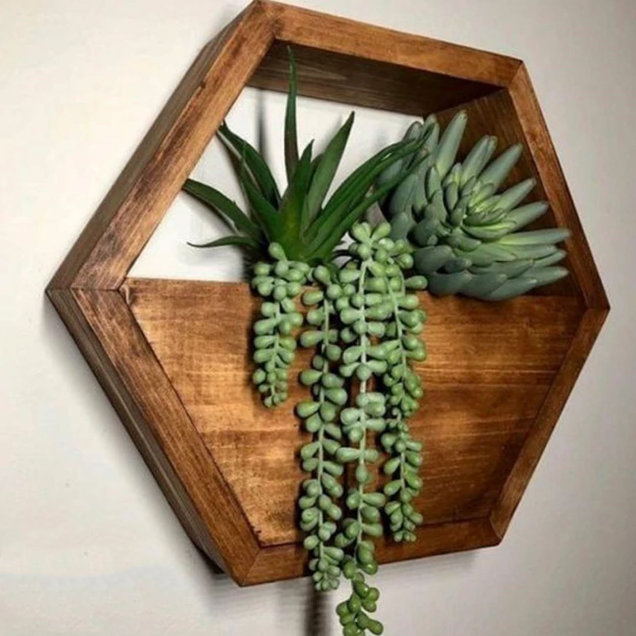 Wandpflanzgefäß im Hexagon-Design – Kaktus, aus Holzmaterial (1 Stück)