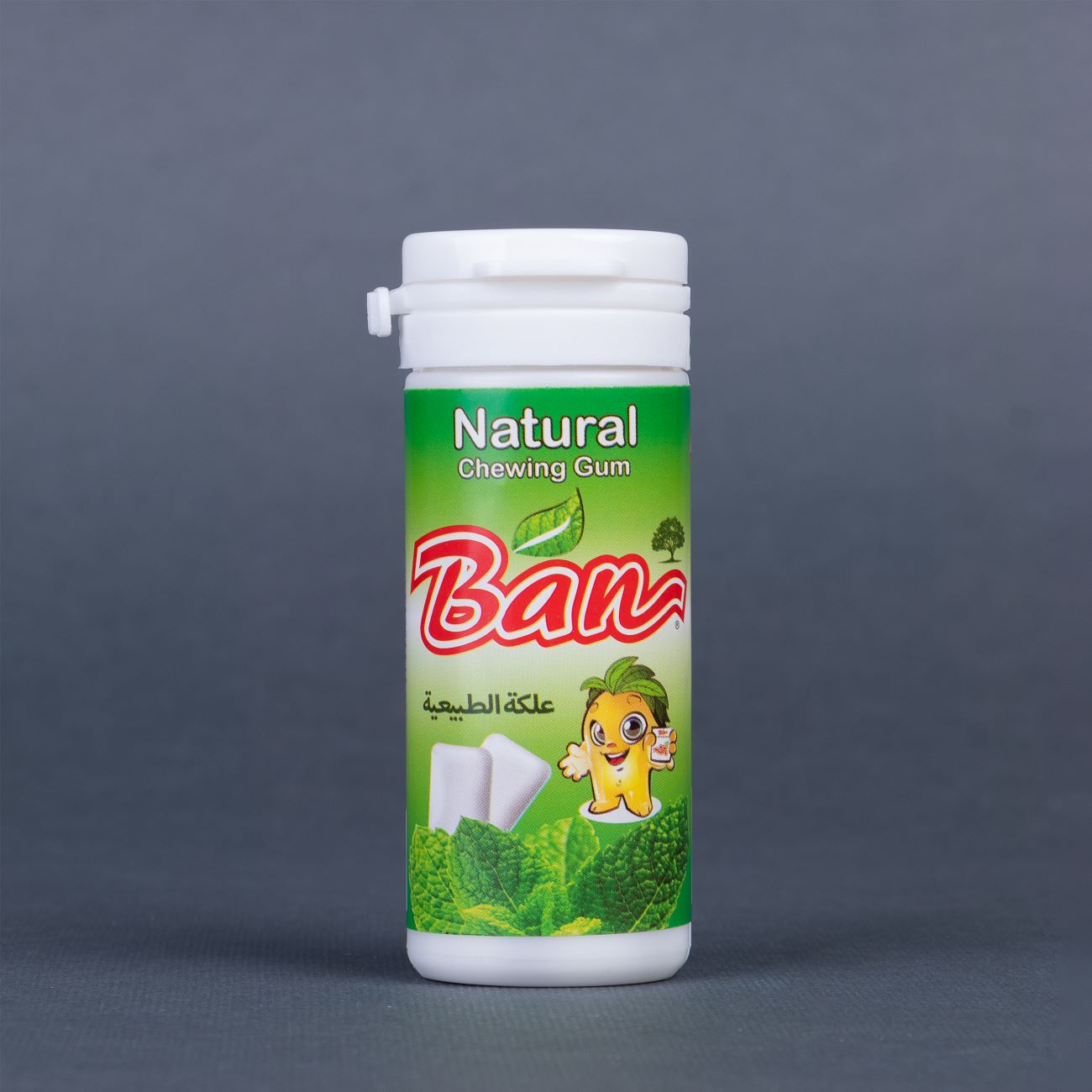 Natürlicher Kaugummi mit Minzgeschmack – Ideal zur Atemerfrischung jederzeit (4er-Pack)