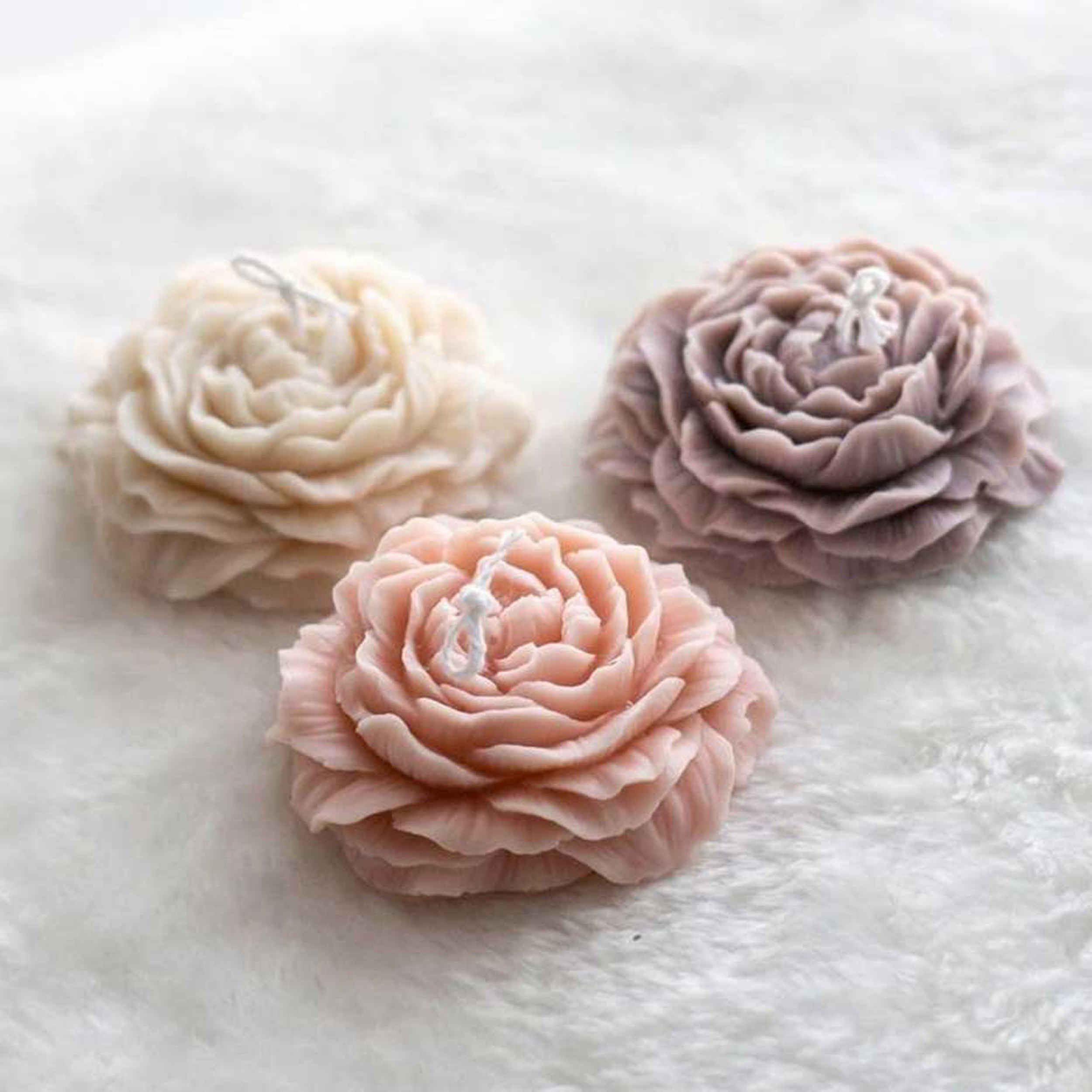 Kerzenform-Set – Anemone, Gänseblümchen & klassische Rose, 3-teilig