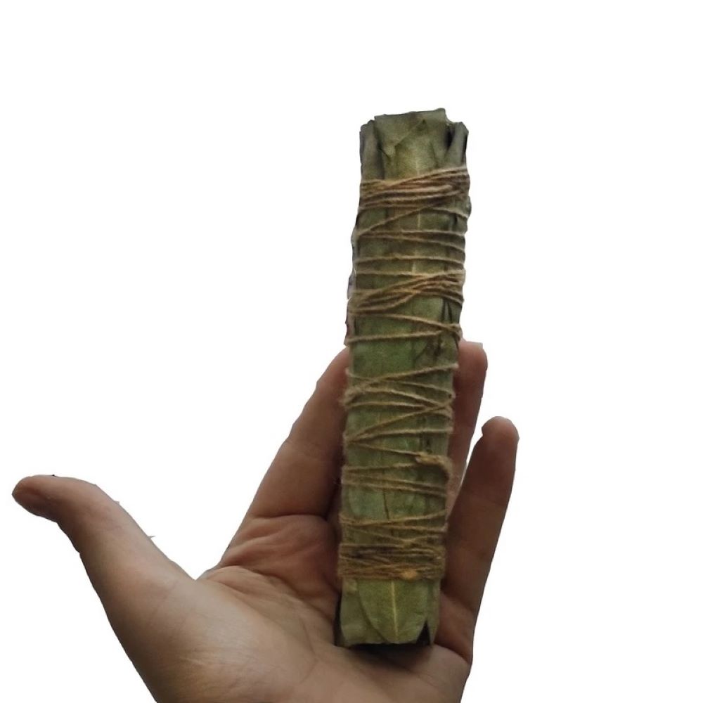 Natürlicher Eukalyptus-Smudge-Stick – Für Reinigung und Meditation geeignet