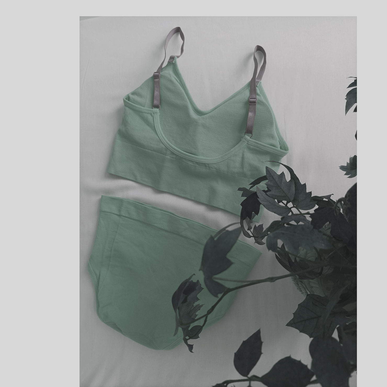 Weiches, gepolstertes Sport-BH und Höschen-Set – Hellgrün, geeignet für Fitnessstudio & Zuhause