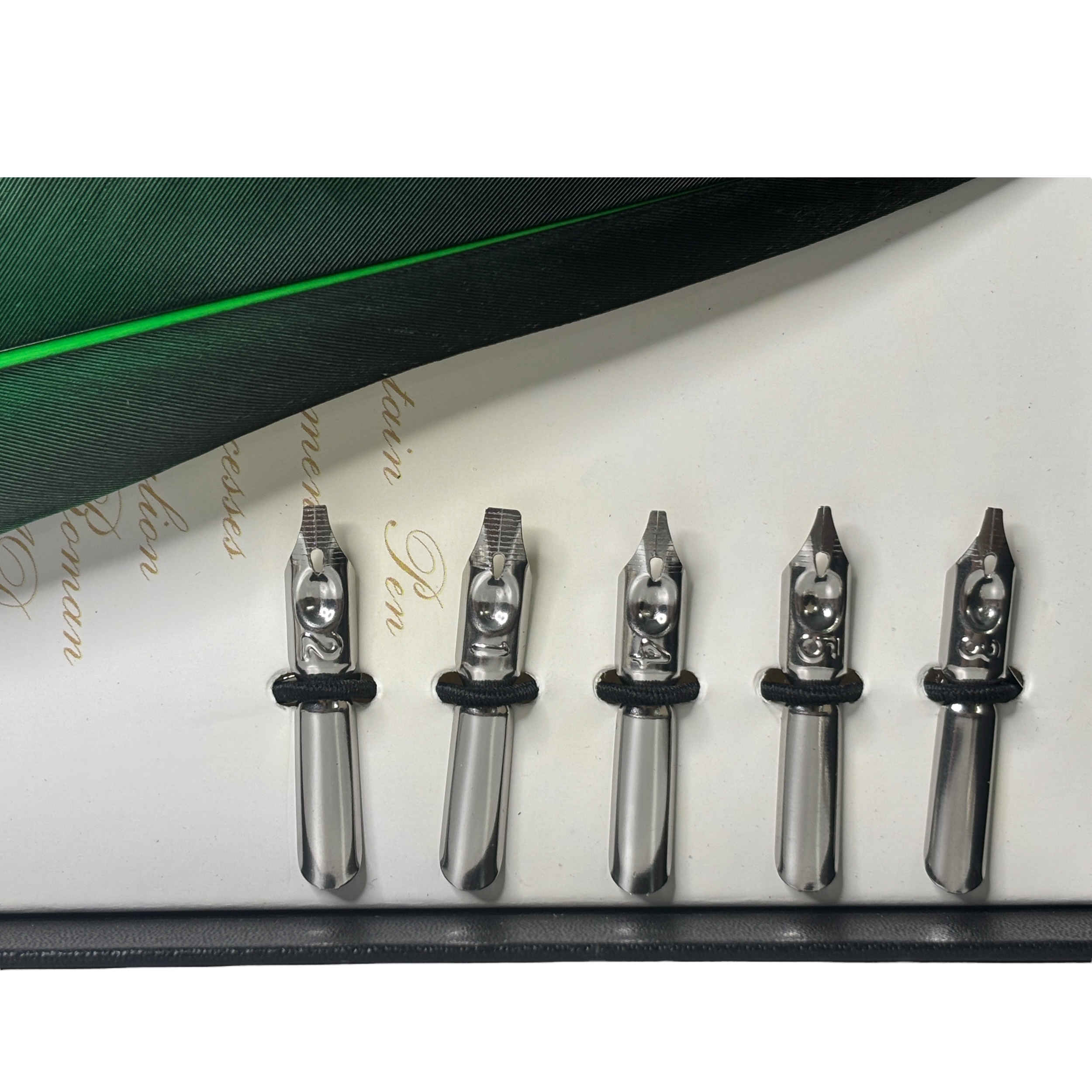 Elegantes Kalligraphie-Feder-Set für Handschrift, Briefe und Journale