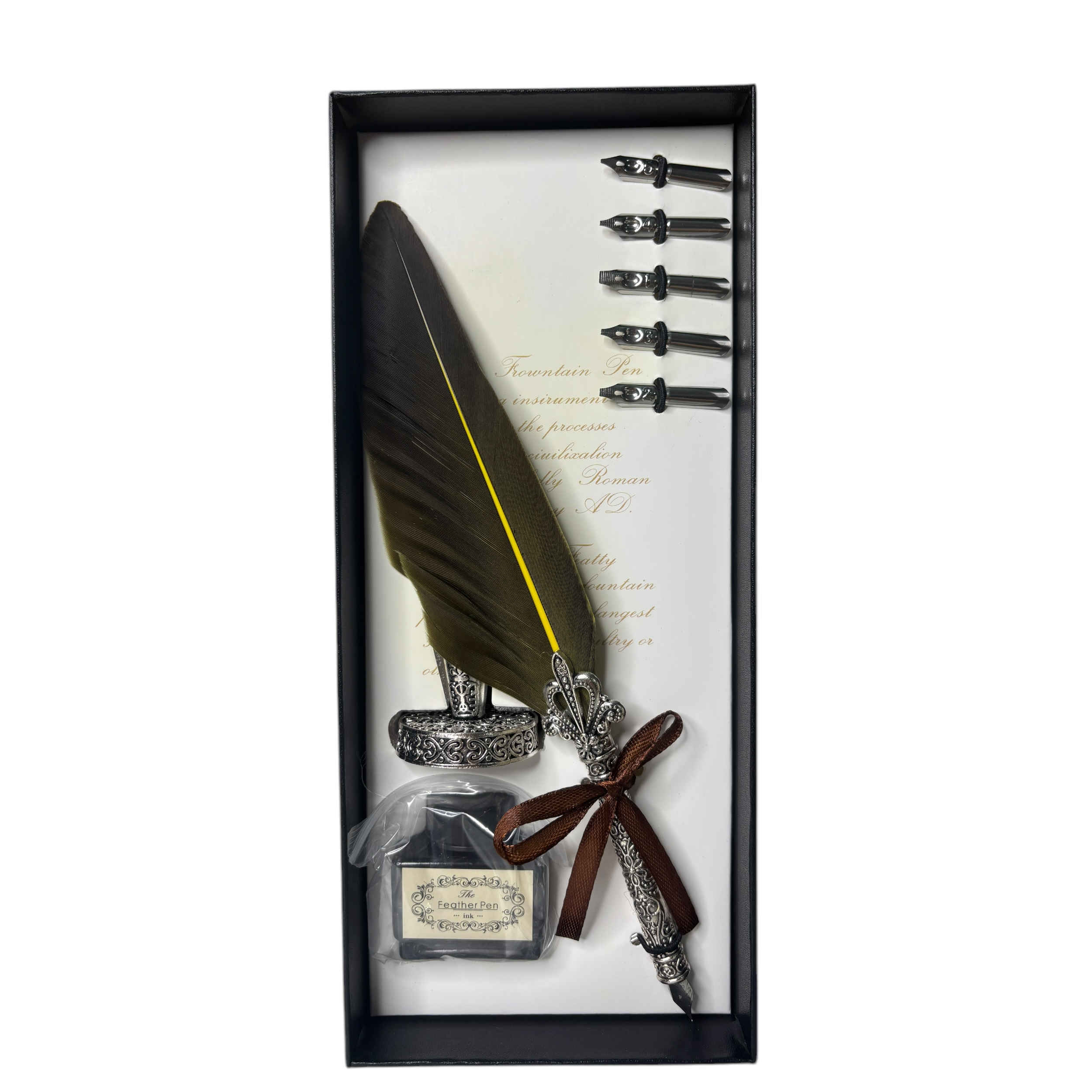 Elegantes Kalligraphie-Feder-Set für Handschrift, Briefe und Journale