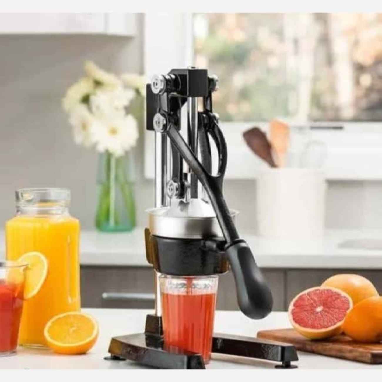 Silberne Manuelle Zitruspresse – Robuste Handpresse für Zitronen und andere Früchte