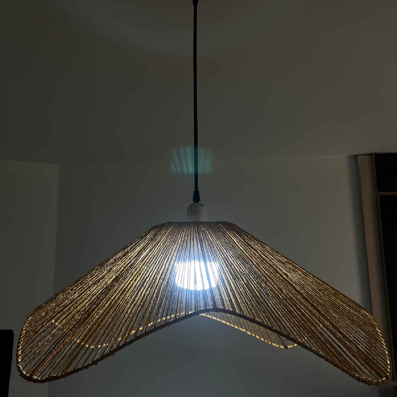 Handgewebte Raffia-Hängeleuchte – Moderne, formverzerrte Deckenlampe